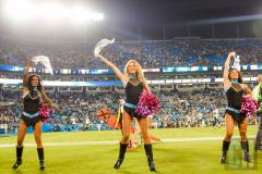 panthers-topcats-3.jpg