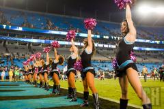 panthers-topcats-4.jpg
