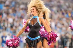 panthers-topcats-8.jpg