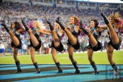 panthers-topcats-9.jpg
