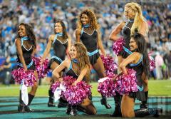 panthers-topcats1-1.jpg