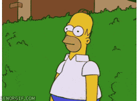 59a93a2ec5176_giphy(3).gif.28526e5f196ceeb54daed3753a15c754.gif