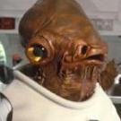 Admiral Ackbar