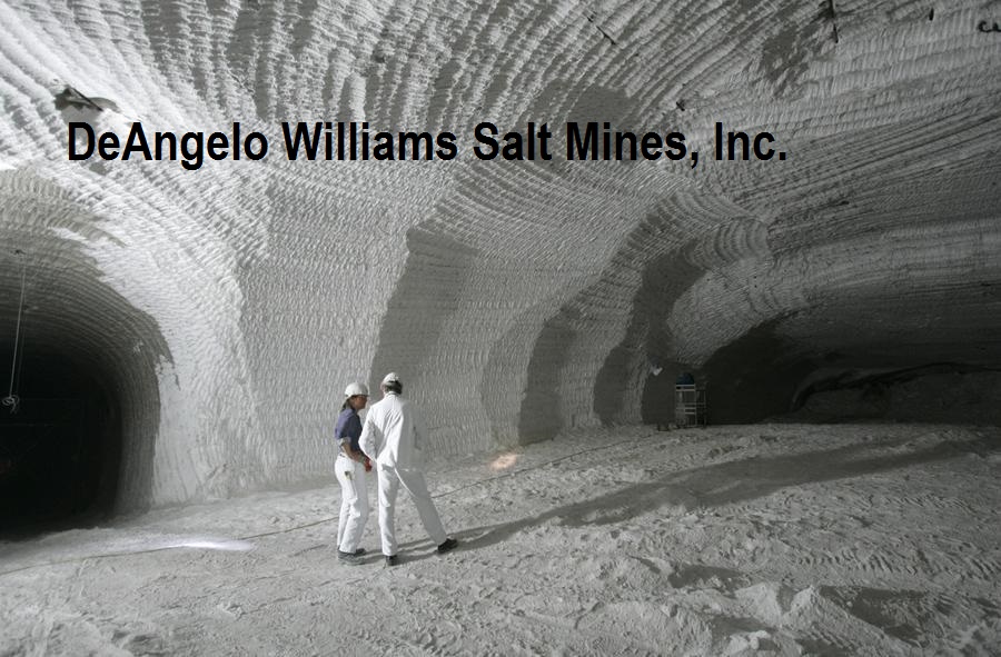 5a334000cfb2c_saltmine.jpg.948d91fb827fc41bee88b2543344fa6d.jpg