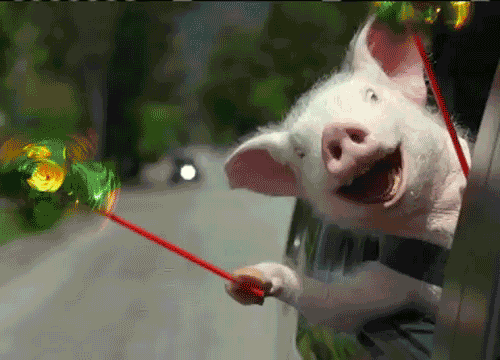 5a54f706c2ecd_giphy(17).gif.99225e4b2d80f90168e4cf79c6b5421c.gif
