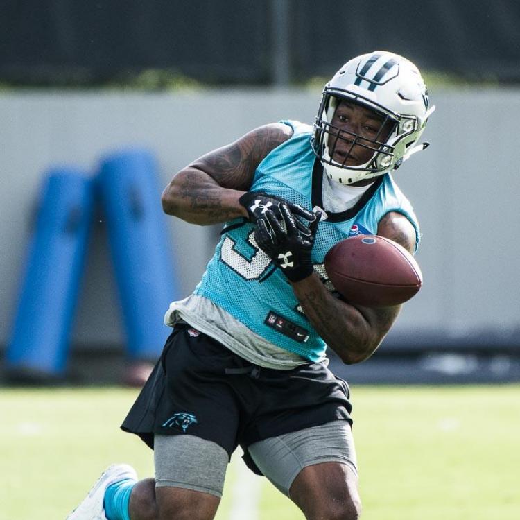 Carolina-Panthers-10.jpg