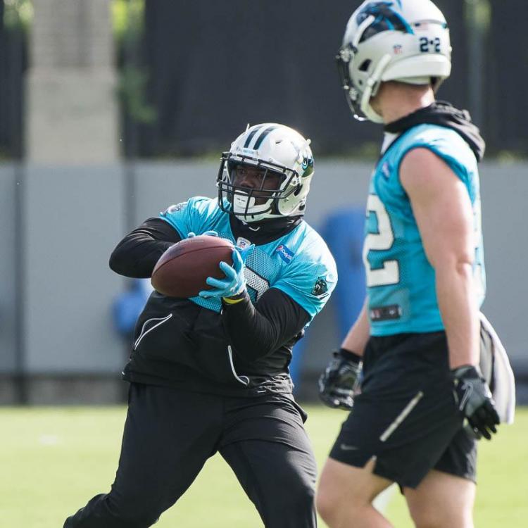 Carolina-Panthers-11.jpg