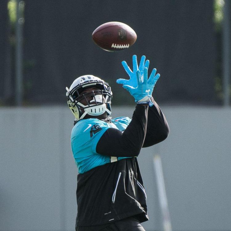Carolina-Panthers-12.jpg