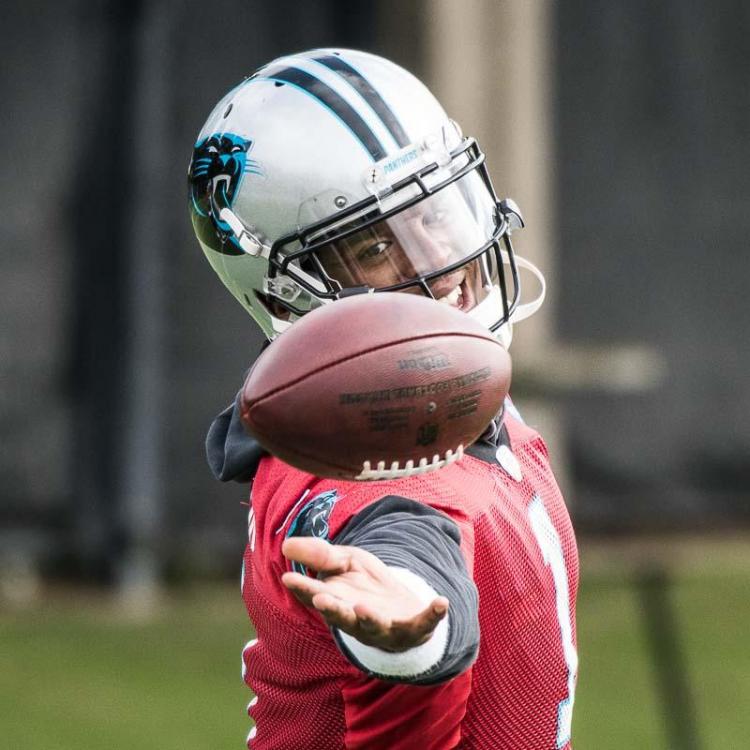 Carolina-Panthers-5.jpg
