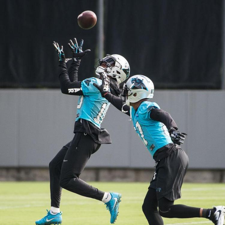 Carolina-Panthers-8.jpg