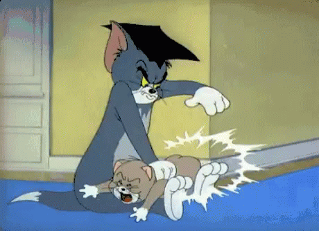 69353C50-E1CB-4AF3-9245-83404511835C.gif.b9d6202cdac28f7bf021660b45d0273b.gif