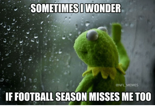 sometimesi-wonder-nfl-memes-if-football-season-misses-me-t00-32265624.png.b96e245b790b34dddd0a58033c9b12aa.png