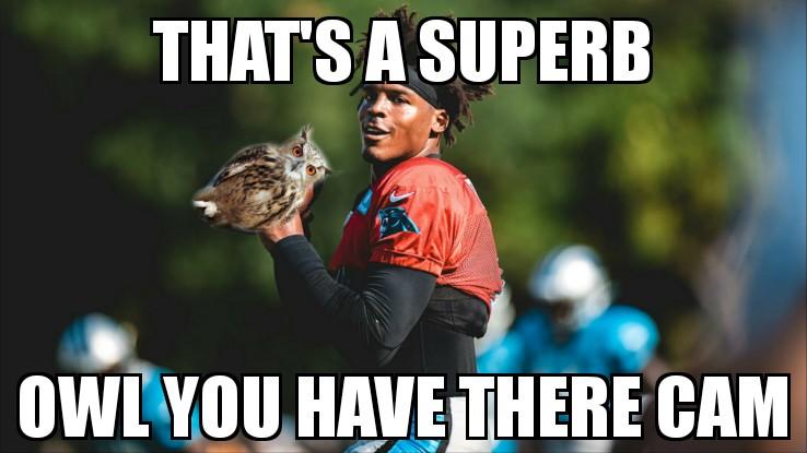 1392719275_camsuperbowl.jpg.c40a458b21d056161b378c5eeb9c105b.jpg