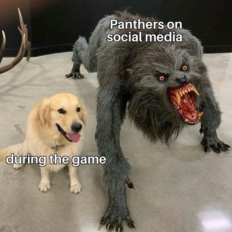 Dog vs Werewolf 18112019164216.jpg