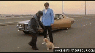 C0B8C5D3-03D8-4826-A3D5-26BBAE3593A3.gif.93e8c90fd8e632d5788e0cfd316d6248.gif
