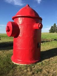 image.jpeg.d11ea4b7931086413fa8679ee118eeee.jpeg