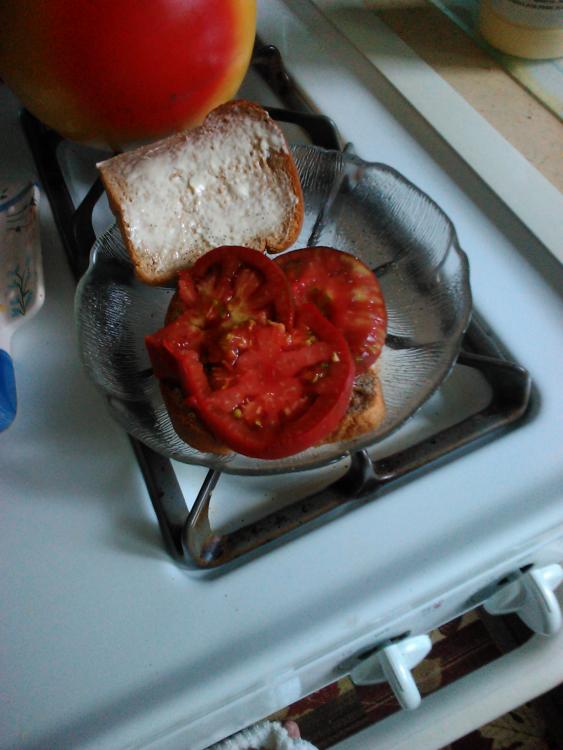 first mater sandwich.jpeg