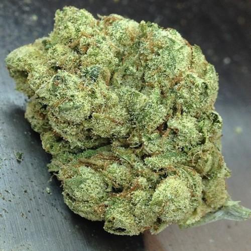 4114968_skywalker-og-weed-cannabis-thcfinder-skywalkerogweed--2928s-500x500.jpg.a112ca83820f9ab5ded085b8e32cbea3.jpg