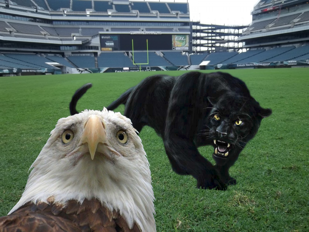 eagles.thumb.png.3b5bfbf08bd19067febe066c2bb644f1.png