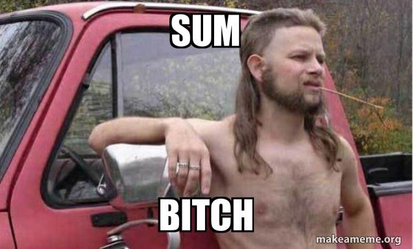 sum-bitch-96f1ee97f9.jpg.ad639ecbc760d0cc0530c08da812adc9.jpg