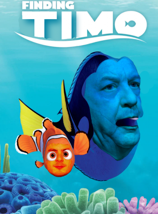 00711FindingNemo_Blackstone__Rounded_4ecb3d9d-f916-4a73-835c-26847c826b69_900x.png