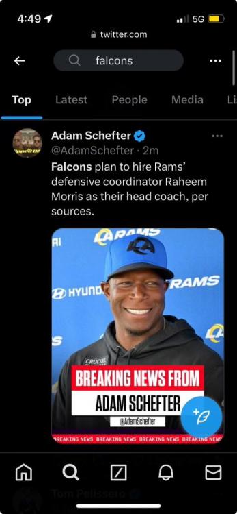 falcons - Search  X.jpeg