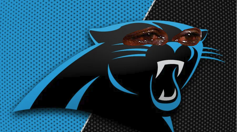 panthers_logo.png.c0aa8f00883da185f9dd73107cd57381.png