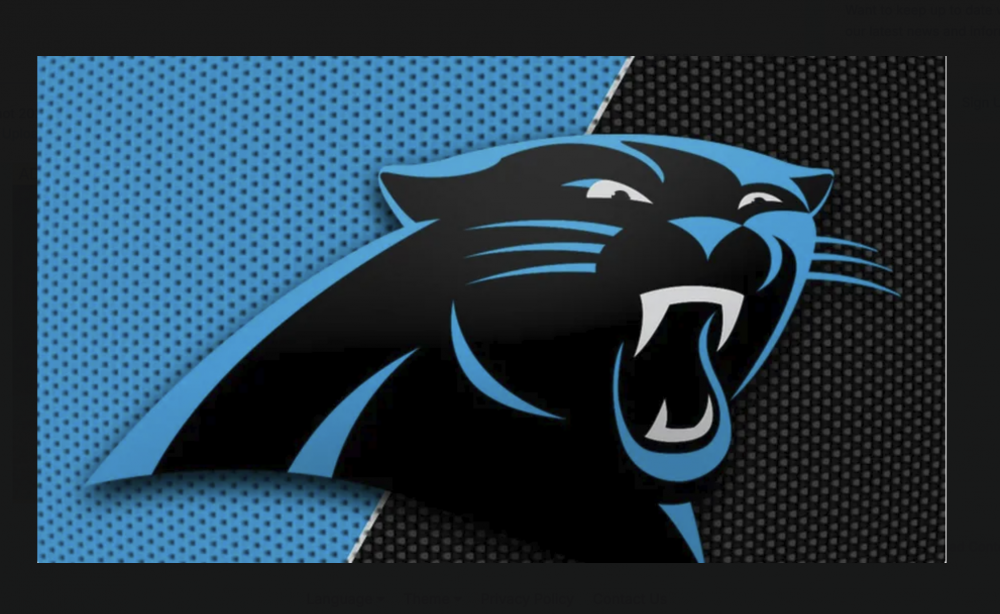 Screen Shot 2025-05-20 at 11.09.28 AM.png