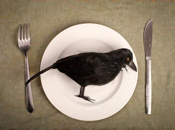 eating-crow.jpg.96ba1cd3a4129d7bad0db54b855f56b5.jpg