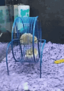 fail-failing.gif.3d1ceffda9f632e5436237ee058e7cc5.gif