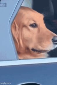 image.gif.2a9b5b0dcb4ad885b5072cba46902ea4.gif