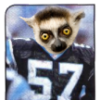 Lemur Lathon