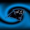 PantherFanOne