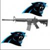 AR-15 Panther